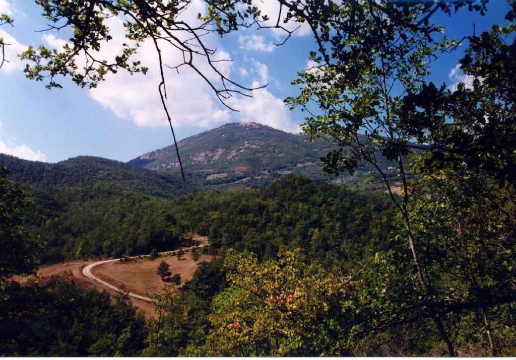 Agriturismo Monte Acuto Умбертіде Екстер'єр фото