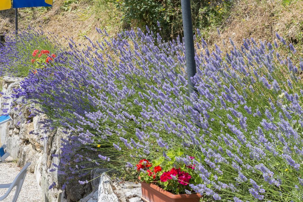 Agriturismo Monte Acuto Умбертіде Екстер'єр фото