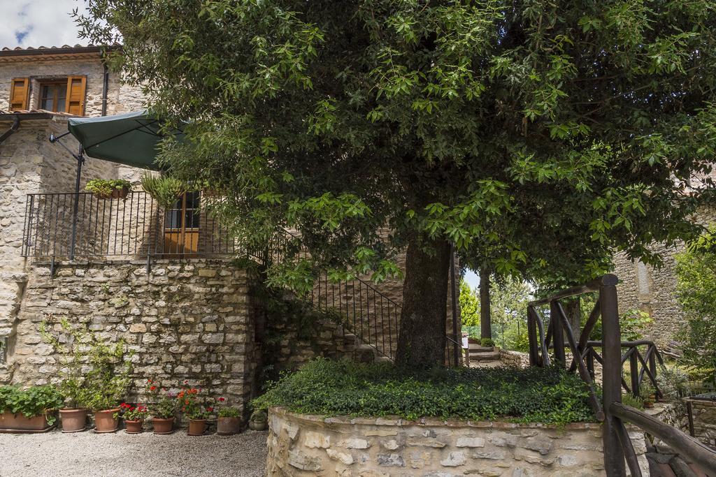 Agriturismo Monte Acuto Умбертіде Номер фото
